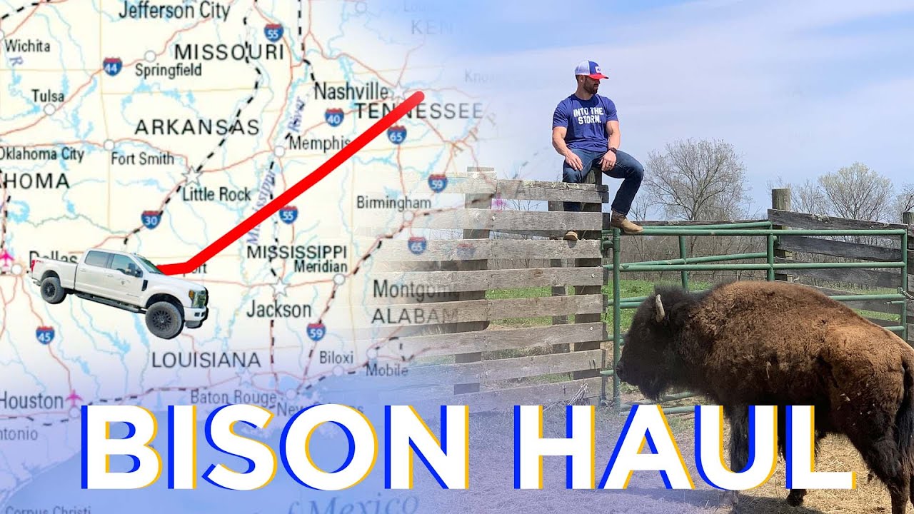 BISON HAUL // On the BISON Farm // EPISODE 2 - MAYHEM NATION